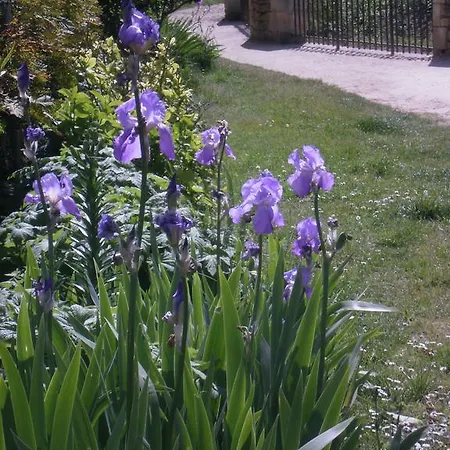 Apartament Maison Lambert