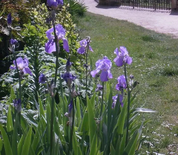 Διαμέρισμα Maison Lambert